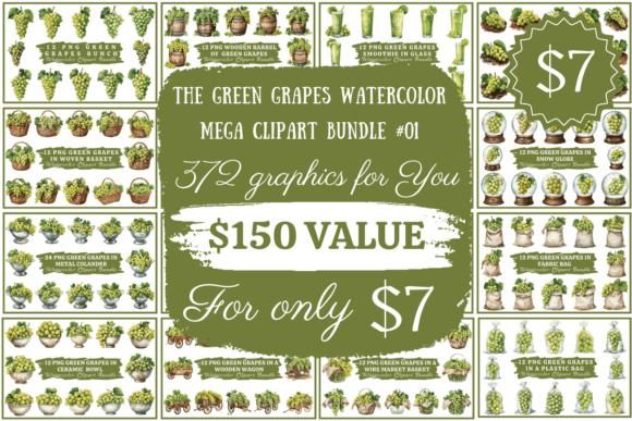 Download The Green Grapes Watercolor Mega Bundle - Mega bundle Collection